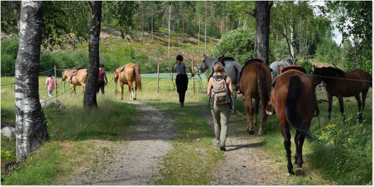 Leiriryhmä menossa kentälle